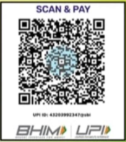 Organization UPI QR code