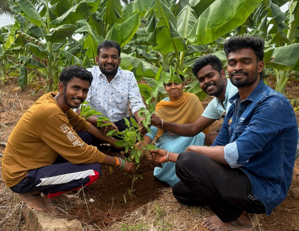 Volunteers planting a tree