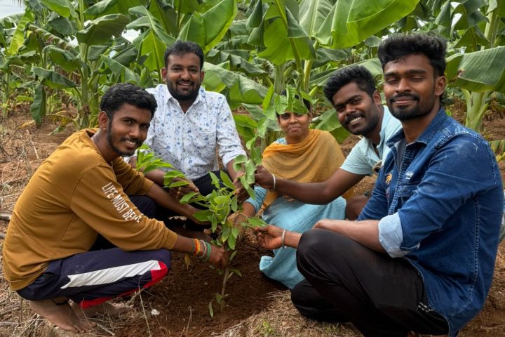 Volunteers planting a tree